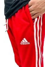 Adidas Trouser